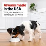 Beef Dinner in Gravy Wet Dog Food Cups