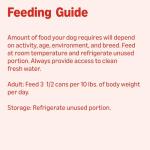 Beef Dinner in Gravy Wet Dog Food Cups