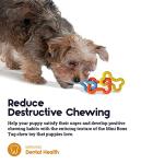 Petstages Mini Bone Tug Toy for Puppies