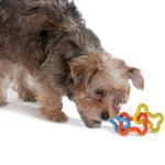 Petstages Mini Bone Tug Toy for Puppies