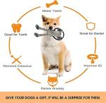 HUGEME Interactive Rope Dog Toys for Playtime