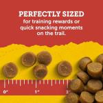 Zuke’s Mini Naturals Salmon Training Treats 16 oz