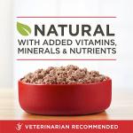 Purina ONE Grain-Free Wet Dog Food with Beef & Bison