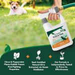 Vet's Best Flea and Tick Spray for Dogs