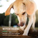 Gentle Fragrance-Free Dog Wipes with Witch Hazel