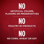 Purina ONE Grain-Free Wet Dog Food with Beef & Bison