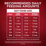 Purina ONE Grain-Free Wet Dog Food with Beef & Bison