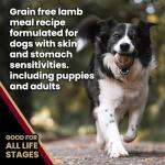 Victor Grain-Free Lamb & Sweet Potato Dog Food 5 lb