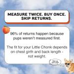 Maxine Medium Dog Backpack Carrier - Gray