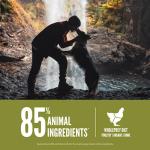 ORIJEN Grain-Free High Protein Senior Dog Food