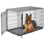 MidWest 48-Inch Double Door Crate for Large Dogs