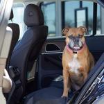 Waterproof Dog Car Seat Cover, Scratch-Proof, Black