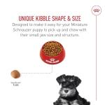 Royal Canin Miniature Schnauzer Puppy Dry Dog Food