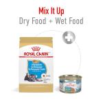 Royal Canin Miniature Schnauzer Puppy Dry Dog Food