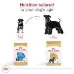 Royal Canin Miniature Schnauzer Puppy Dry Dog Food