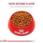 Royal Canin Miniature Schnauzer Puppy Dry Dog Food