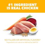 IAMS Proactive Health Large Breed Puppy Food