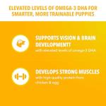 IAMS Proactive Health Large Breed Puppy Food