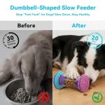 Durable Interactive Puzzle Toy for Dogs