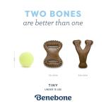 Benebone Puppy Dental Chew Toys – 2-Pack