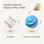 Interactive LED Dog Balls for All Breeds