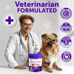 20 in 1 Dog Multivitamin with Glucosamine - Chewable Dog Vitamins and Supplements - Senior & Puppy Multivitamin Chews for Pet Hip & Joint Support, Immunity, Mobility, Skin, Digestion - 70 Soft Treats