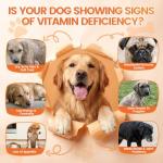 Dog Vitamins- 16-in-1 Dog Vitamins and Supplements, 500 Ct Multivitamin Supports Daily Energy, Heart Health, Skin & Coat, with Taurine, Omega-3, Puppy Multivitamin Chewable - for All Breeds & Ages