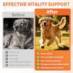 Dog Vitamins- 16-in-1 Dog Vitamins and Supplements, 500 Ct Multivitamin Supports Daily Energy, Heart Health, Skin & Coat, with Taurine, Omega-3, Puppy Multivitamin Chewable - for All Breeds & Ages