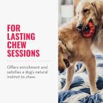 KONG Natural Rubber Chew Ring for Dogs