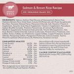 Natural Balance Limited Ingredient Adult Dry Dog Food with Healthy Grains, Salmon & Brown Rice Recipe, 24 Pound (Pack of 1)
