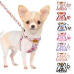 SlowTon No Pull Dog Harness with Leash - Soft Lightweight Floral Pattern Puppy Harness, Adjustable Pet Harness for Small Medium Dogs (Flower XXS)