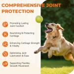 Zozdal Dog Hip & Joint Supplement, 180 Chicken Chews - Glucosamine Chondroitin MSM Turmeric for Large Breed & Senior Dogs