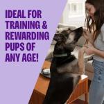 Wellness CORE Tiny Trainers Dog Treats, Natural, Training Treat, Grain Free, Turkey & Pomegranate (6 Ounce Bag)