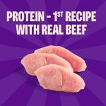 Wellness CORE Tiny Trainers Dog Treats, Natural, Training Treat, Grain Free, Turkey & Pomegranate (6 Ounce Bag)