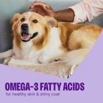 Wellness CORE Tiny Trainers Dog Treats, Natural, Training Treat, Grain Free, Turkey & Pomegranate (6 Ounce Bag)