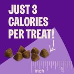 Wellness CORE Tiny Trainers Dog Treats, Natural, Training Treat, Grain Free, Turkey & Pomegranate (6 Ounce Bag)