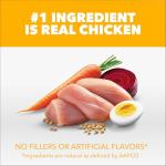 IAMS Proactive Health Dry Puppy Food Chicken, 5 lb. Bag