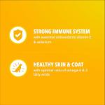 IAMS Proactive Health Dry Puppy Food Chicken, 5 lb. Bag