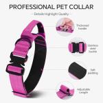 Tactical Thick Dog Collar, Adjustable Training Nylon Dog Collar, Heavy Duty Metal Buckle & Control Handle for Small Medium Large Dogs (L, Hotpink)