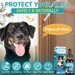 Woyamay Antibiotics for Dogs | Natural Dog Antibiotics for Allergy Relief, Itch Relief, Coughs, Skin Health, Breath Treatment, Digestion | Herbal Supplement to Care for Ears, Eyes & Coat, 2 Fl Oz