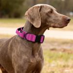 Tactical Thick Dog Collar, Adjustable Training Nylon Dog Collar, Heavy Duty Metal Buckle & Control Handle for Small Medium Large Dogs (L, Hotpink)