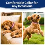 Kazazoo Reflective Dog Collar with Soft Padding Dog Collar for Medium & Small Dogs, No Pull, Heavy Duty, Adjustable Nylon Collar with Quick-Release Buckle, Walking Training Pink-S