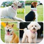 Kazazoo Reflective Dog Collar with Soft Padding Dog Collar for Medium & Small Dogs, No Pull, Heavy Duty, Adjustable Nylon Collar with Quick-Release Buckle, Walking Training Pink-S