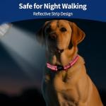 Kazazoo Reflective Dog Collar with Soft Padding Dog Collar for Medium & Small Dogs, No Pull, Heavy Duty, Adjustable Nylon Collar with Quick-Release Buckle, Walking Training Pink-S