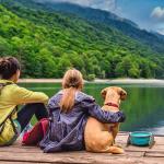 Loving Pets - Bella Roma Portable Travel Dog Bowl Collapsible Dog Food & Water Bowl (Blue, Medium)