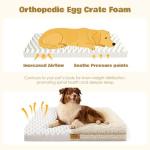 Orthopedic Dog Bed for Medium Dog Cat Noodle Cover Egg-Foam Dog Cat Bed Medium Pet Sofa with Removable Cover Washable Waterproof Pet Couch Beds (White, 36.0" L x 27.0" W x 6.7" Th)