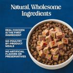 Blue Buffalo Love Made Fresh Natural Adult Dog Food, Refrigerated, Chicken with Carrots and Peas, Fresh Dog Food, Ready-to-Serve, 1-lb Roll