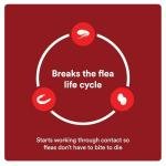 Advecta Ultra Flea and Tick Prevention for Dogs - Medium Dog Flea and Tick Treatment & Control - Mosquito Repellent - Fast Acting Waterproof Topical Drops, 2 Month Supply