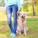 Depets Dog Poop Bag, Extra Thick Doggie Poop Bags with Dispenser and Leash Clip, Leak-Proof Dog Waste Bags, 11.8 × 8.7 in Poop Bags for Dogs Cats, Blue, 160 Count