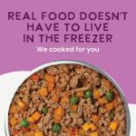 Health Extension Gently Cooked Grain-Free Salmon Dog Food, Human-Grade & Shelf-Stable with Superfoods, Supports Digestion, Immunity, Skin & Coat, 9 oz Pouch (Pack of 1)